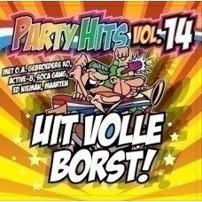 Various Artists - Party Hits Vol. 14