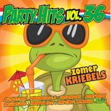 Various Artists - Party Hits Vol. 36
