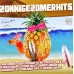 Various Artists - Zonnige Zomerhits