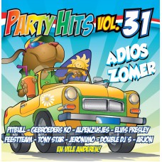 Various Artists - Party Hits Vol. 31