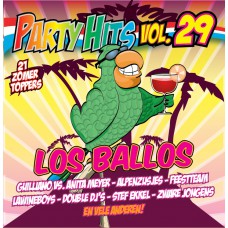 Various Artists - Party Hits Vol. 29